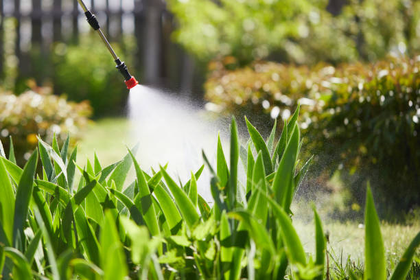24/7 Emergency Mosquito Control experts in Youngstown, OH